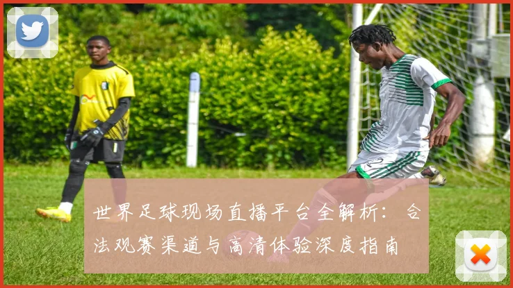 世界足球现场直播平台全解析:合法观赛渠道与高清体验深度指南
