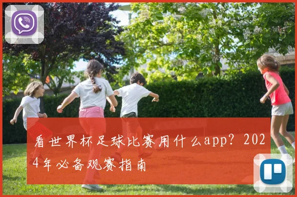 看世界杯足球比赛用什么app？2024年必备观赛指南