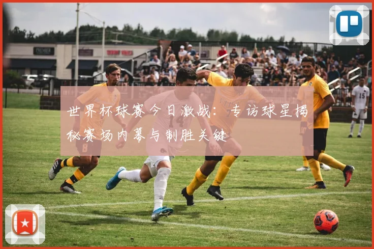 世界杯球赛今日激战:专访球星揭秘赛场内幕与制胜关键